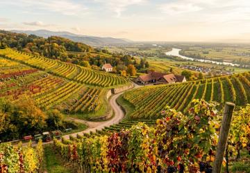 Goldene Ortenau - der Herbstausflug f&auml;ngt hier an