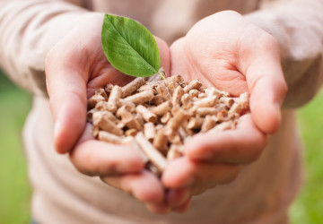 Pellets für die Heizsaison: Umweltfreundlich heizen