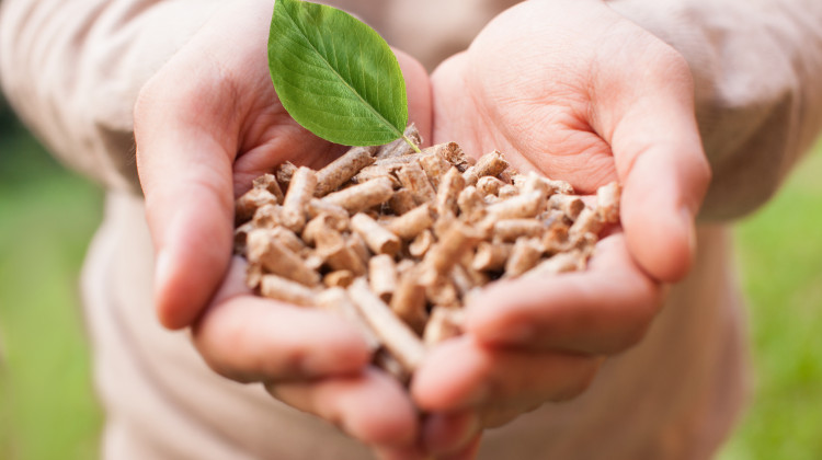 Pellets für die Heizsaison: Umweltfreundlich heizen